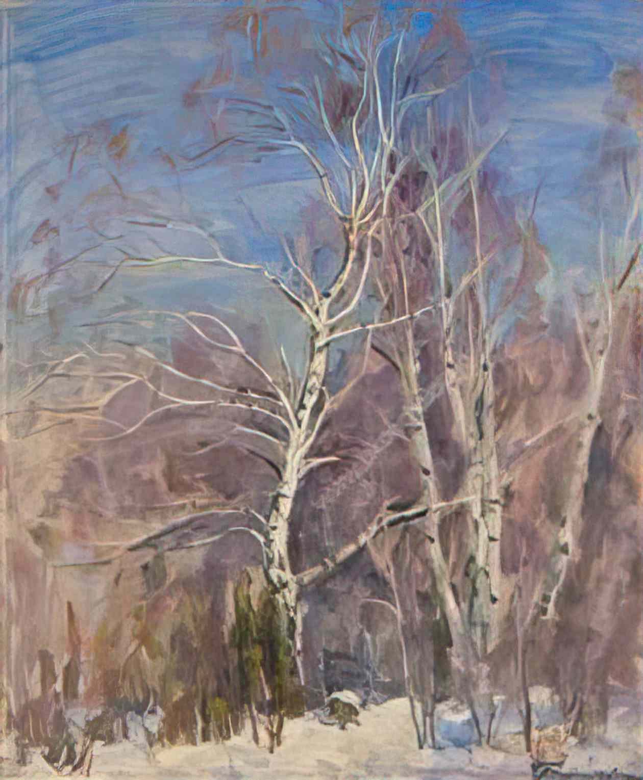 Pyotr Konchalovsky birches in the snow 1936 Art A4 Photo Print