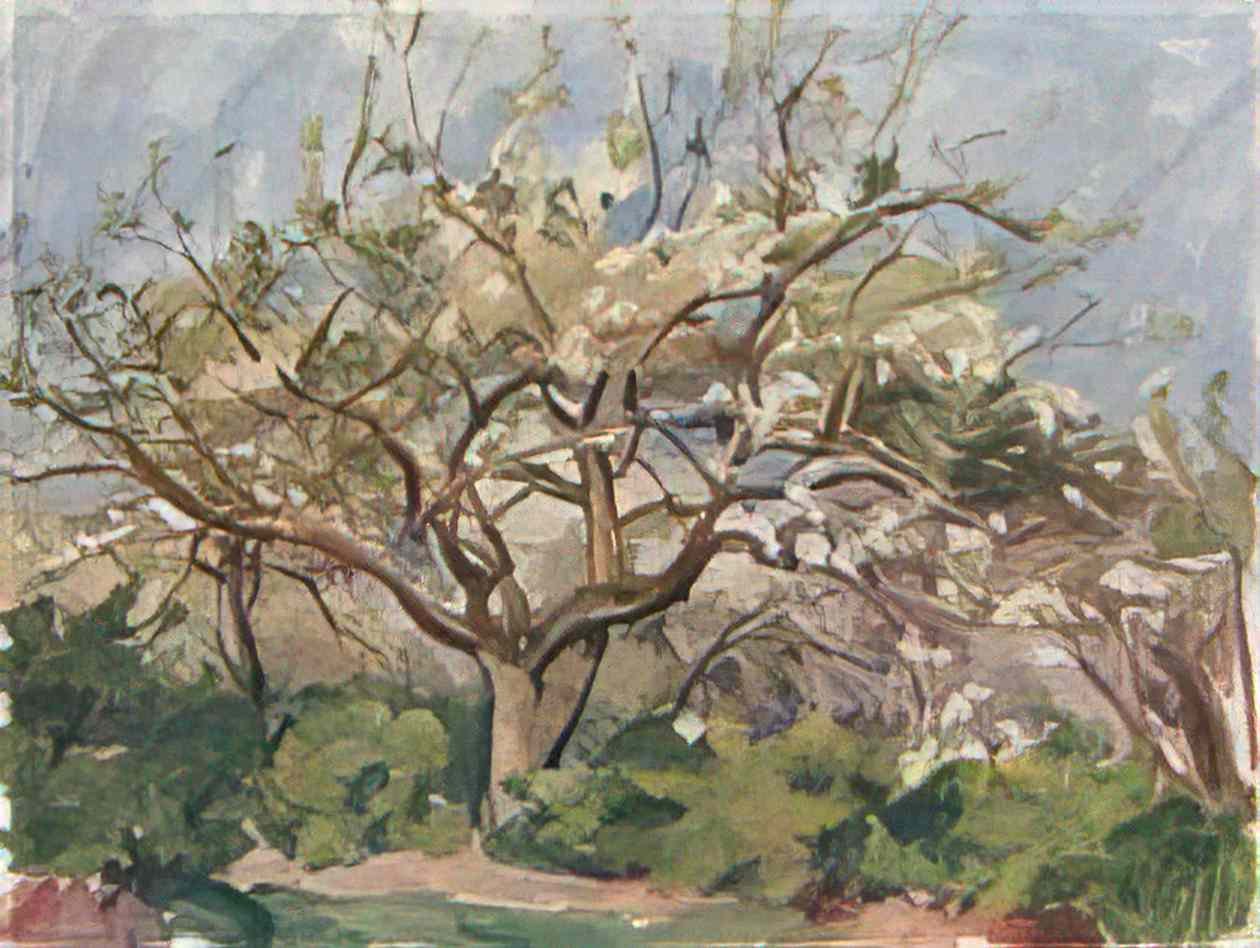 Pyotr Konchalovsky blossoming garden 1930 Art A4 Photo Print