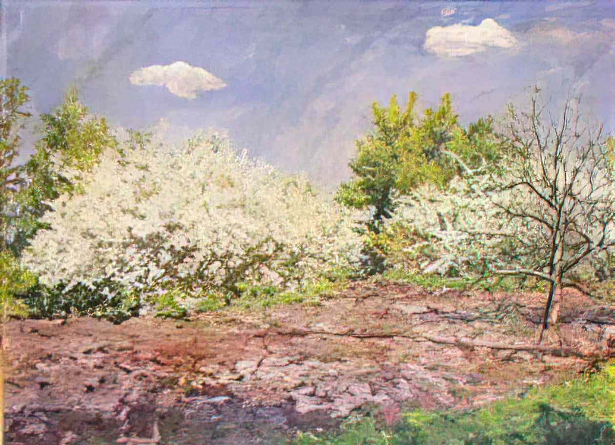 Pyotr Konchalovsky cherry blossoms 1953 Art A4 Photo Print