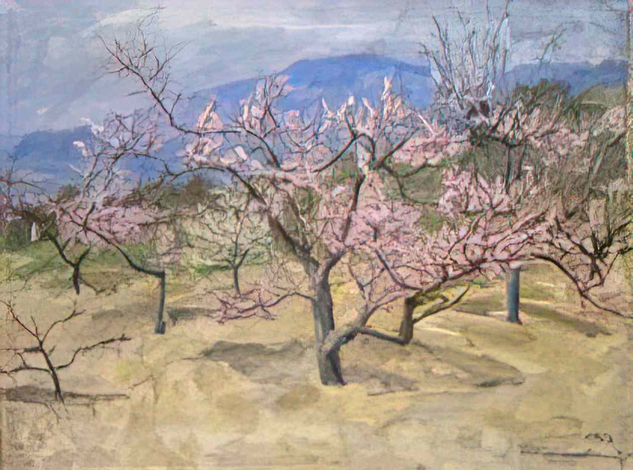 Pyotr Konchalovsky crimea blooming peach tree 1952 Art A4 Photo Print