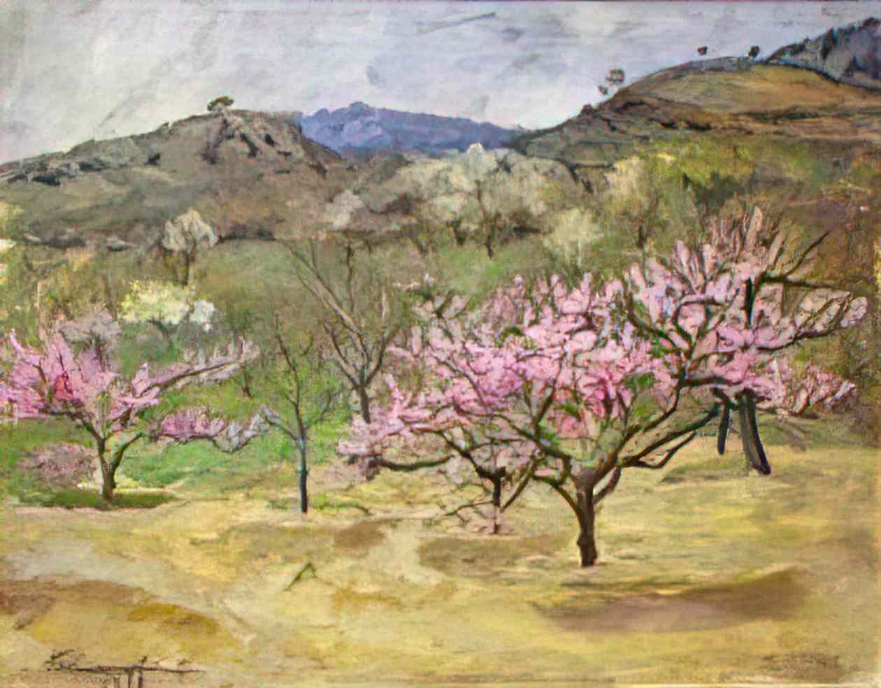 Pyotr Konchalovsky crimea peach garden 1952 Art A4 Photo Print