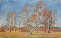 Pyotr Konchalovsky early spring birches 1948 Art A4 Photo Print