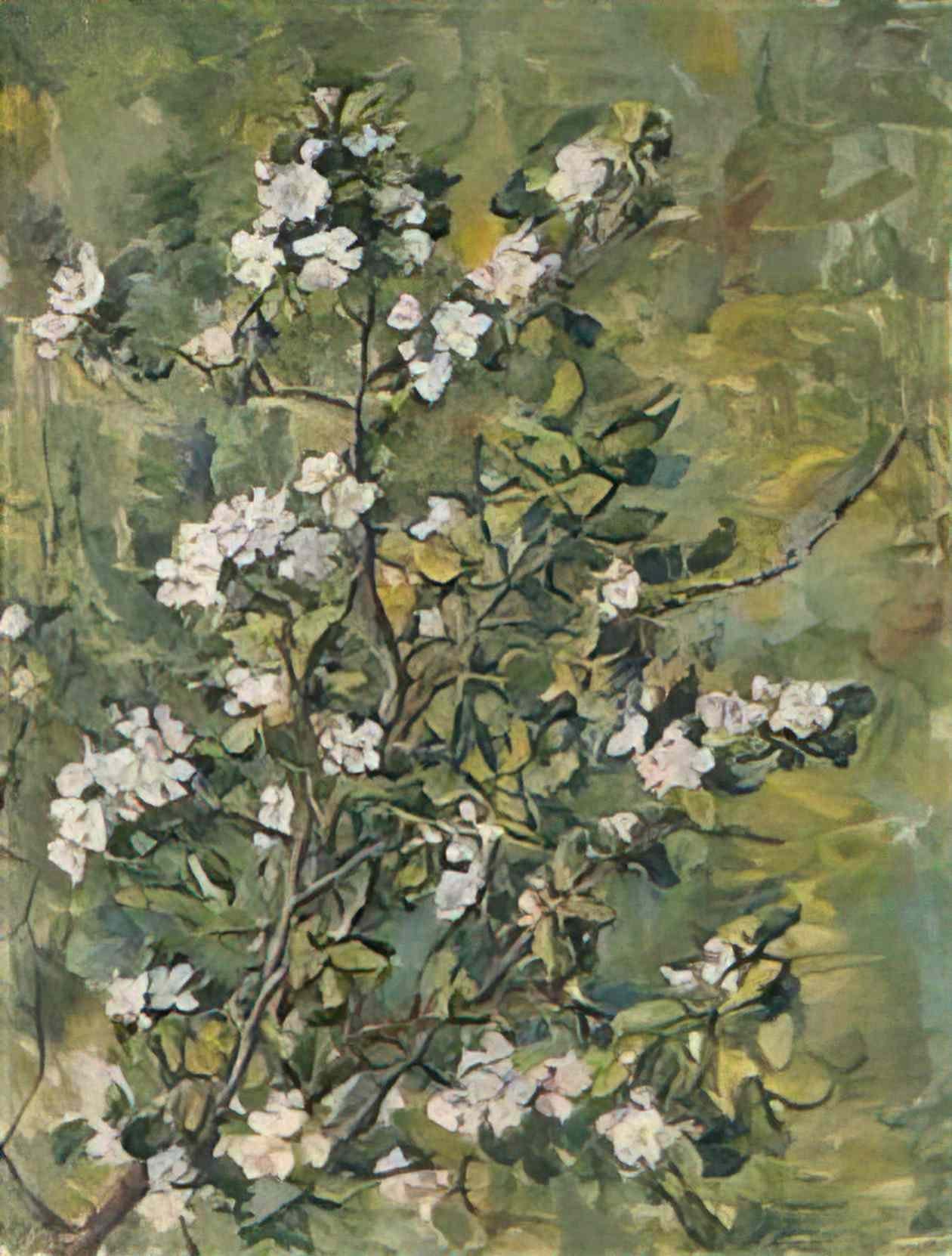 Pyotr Konchalovsky flowering apple branch 1935 Art A4 Photo Print