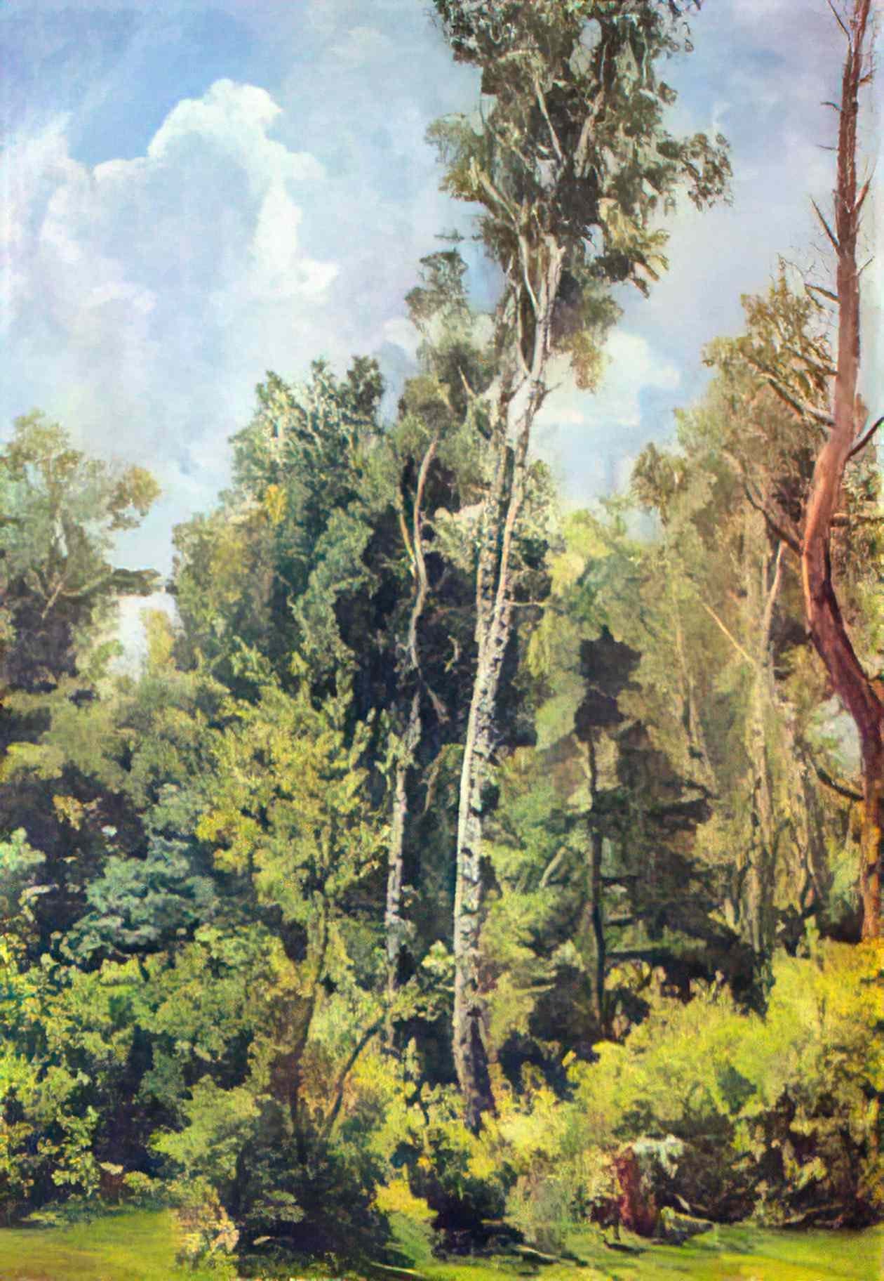 Pyotr Konchalovsky in the woods 1945 Art A4 Photo Print