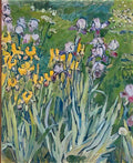 Pyotr Konchalovsky irises 1911 Art A4 Photo Print