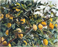 Pyotr Konchalovsky italy lemons on the branches 1924 Art A4 Photo Print