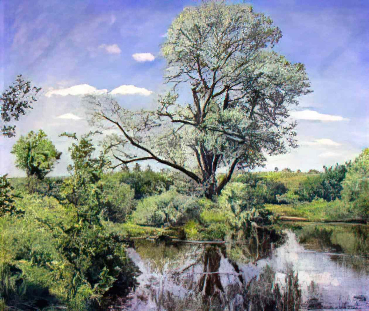Pyotr Konchalovsky nemtsovo pond 1950 Art A4 Photo Print