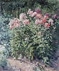 Pyotr Konchalovsky phlox on track 1955 Art A4 Photo Print