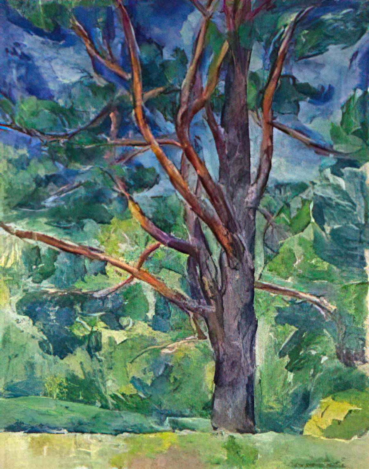 Pyotr Konchalovsky pine tree 1918 Art A4 Photo Print