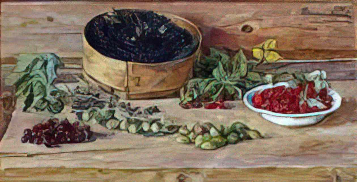 Pyotr Konchalovsky still life currants on a sieve 1955 Art A4 Photo Print