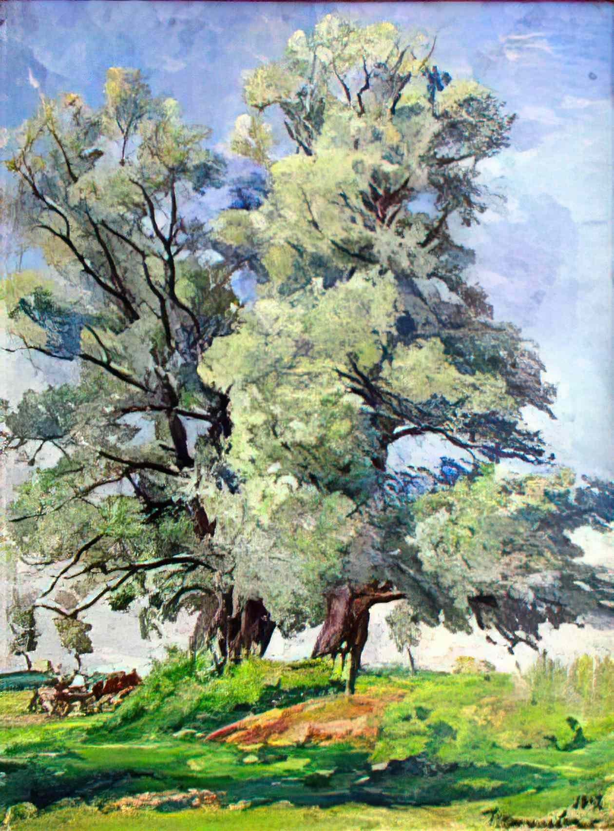Pyotr Konchalovsky willows 1947 Art A4 Photo Print
