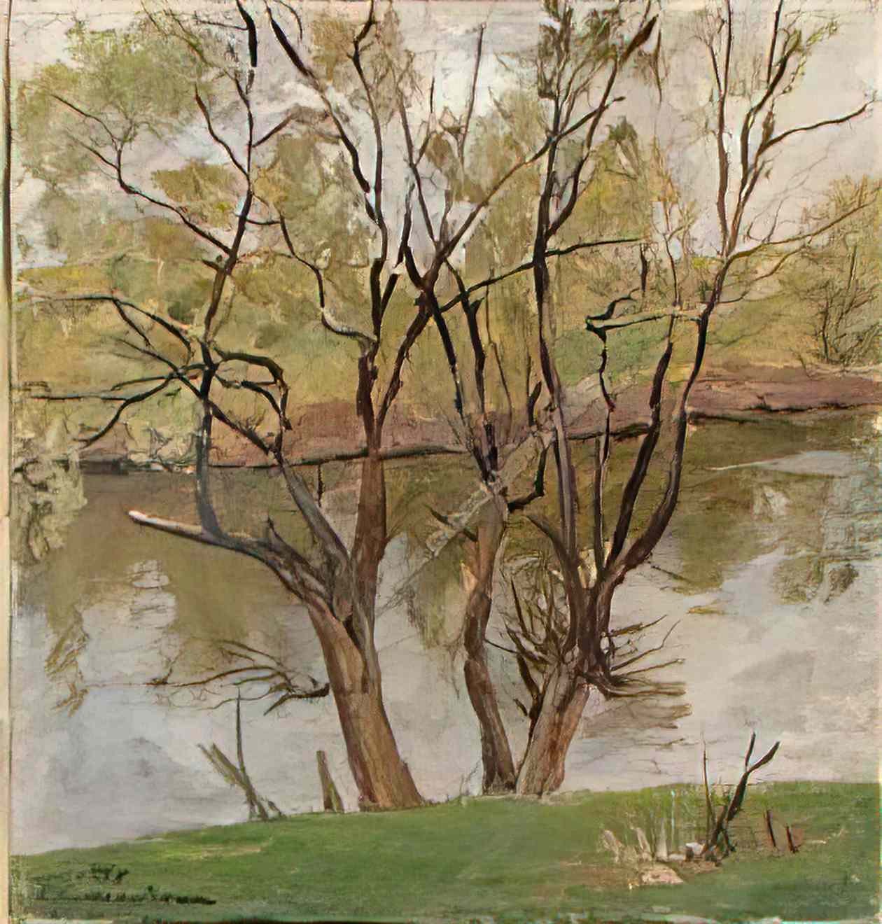 Pyotr Konchalovsky willows on the river protva 1954 Art A4 Photo Print