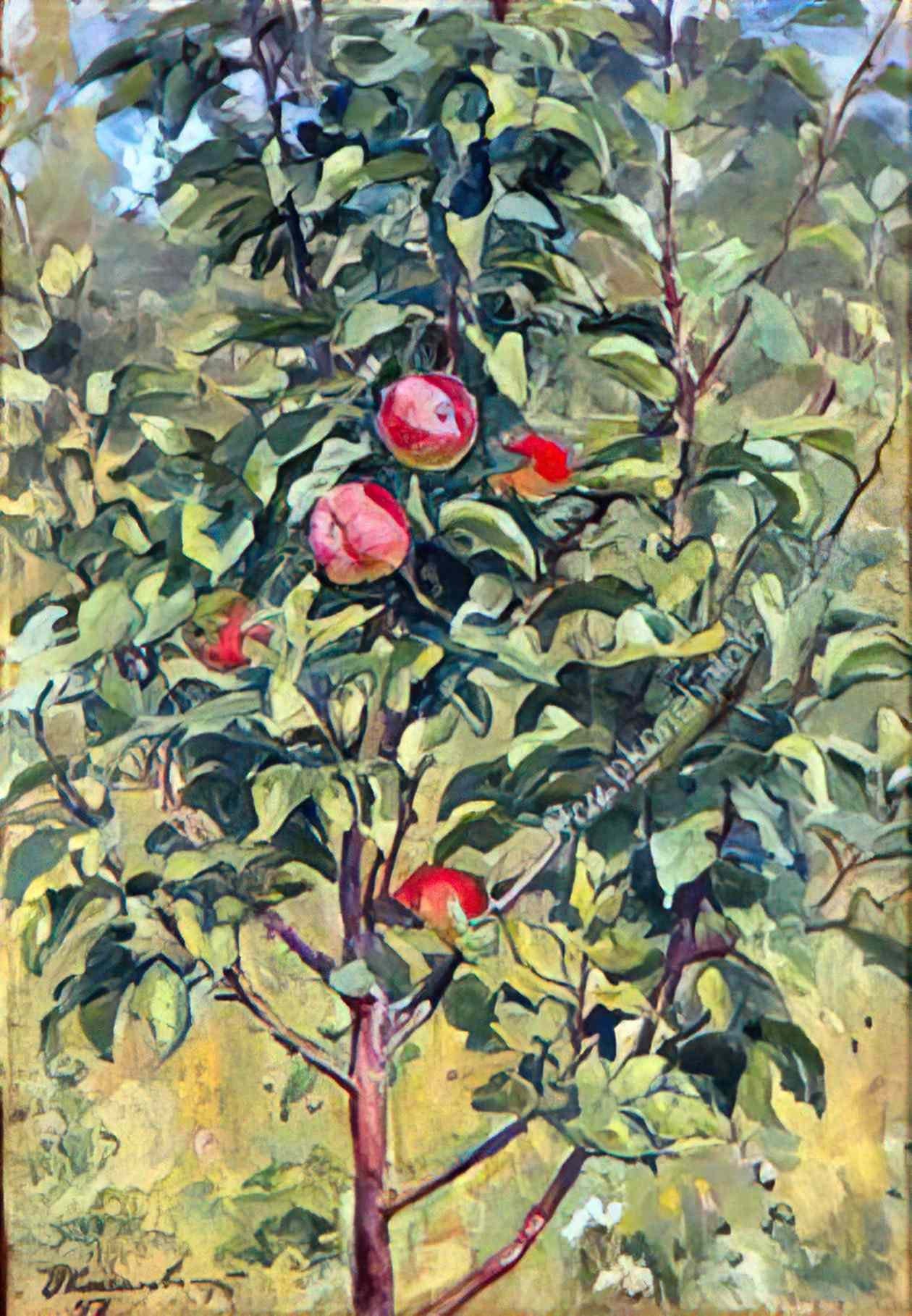 Pyotr Konchalovsky young apple tree 1947 Art A4 Photo Print