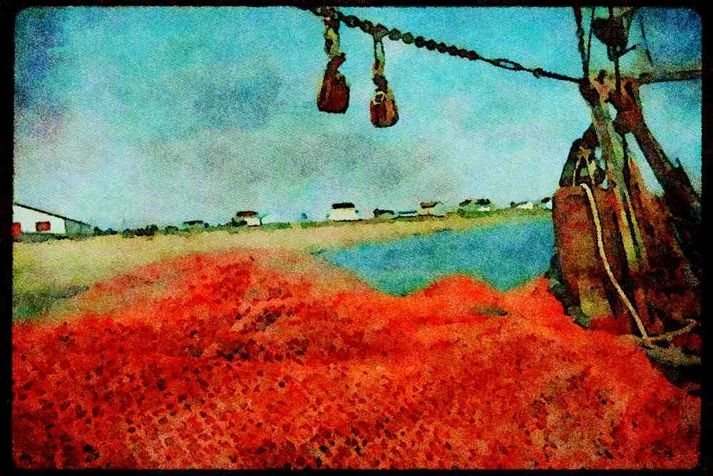 Quebec Rustic 262044 Fishing Nets, Riviere Du Tonnerre, Basse Cote Nord A4 Limited Edition Watercolour Print