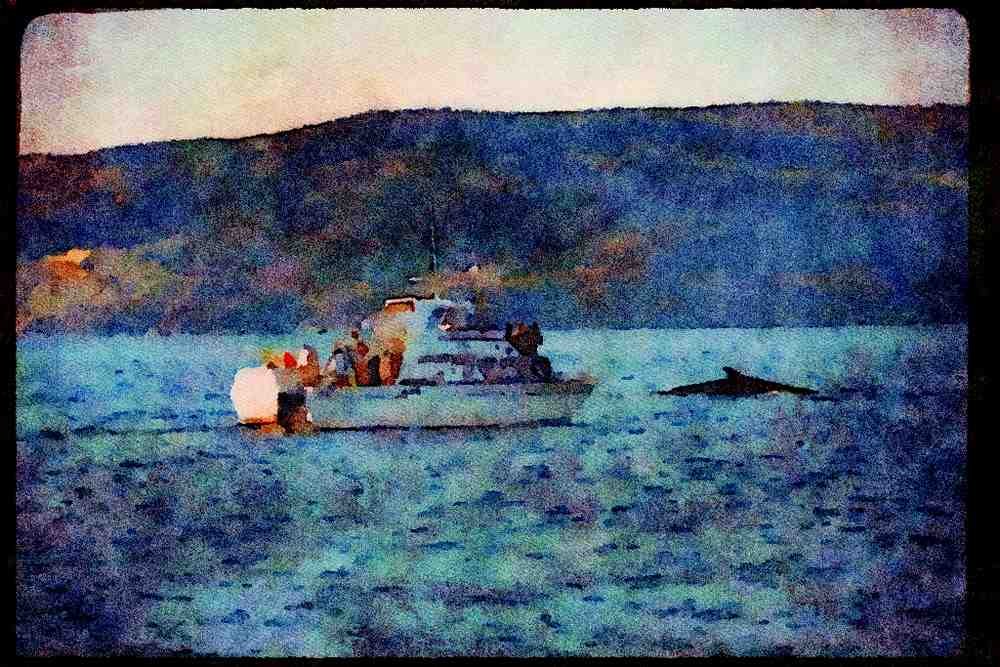 Quebec Rustic 262047 Whales, Petites Bergeronnes A4 Limited Edition Watercolour Print