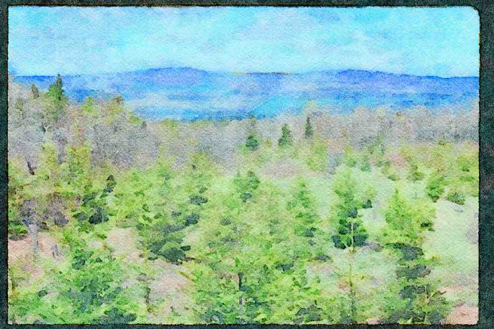 Quebec Rustic 262051 Les Monts Appalaches Des Bois Franc A4 Limited Edition Watercolour Print