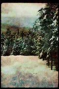 Quebec Rustic 262052 Ski Trail Through The Pines, Laurentians A4 Limited Edition Watercolour Print