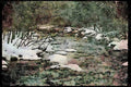 Quebec Rustic 262053 Winter River, Laurentians A4 Limited Edition Watercolour Print