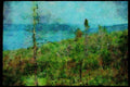 Quebec Rustic 262063 A River Through Brush, Charlevoix A4 Limited Edition Watercolour Print
