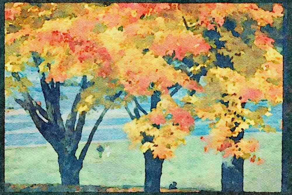 Quebec Rustic 262087 Autumn Park A4 Limited Edition Watercolour Print