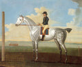 Quigley Daniel Irish 1700s Art A4 Photo Print