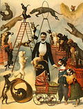 RGC022 performing dogs card 1 Advert A4 Photo Print