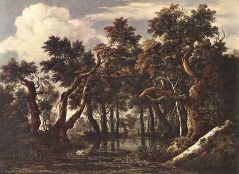 RUISDAEL Jacob Isaackszon van The Marsh In A Forest A4 Photo Print