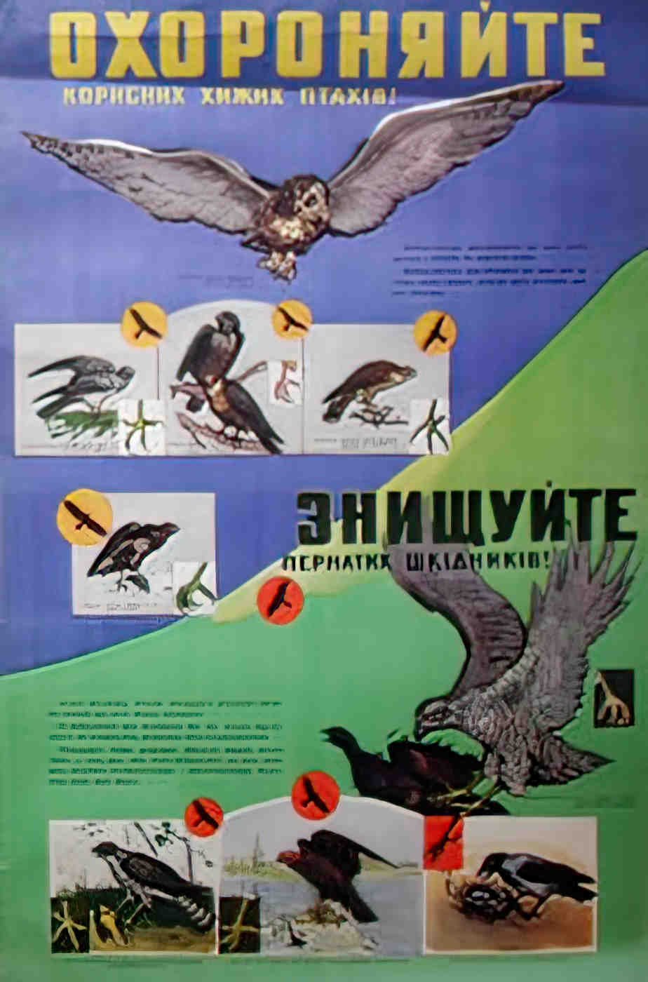 RUL01229 Advert A4 Photo Print