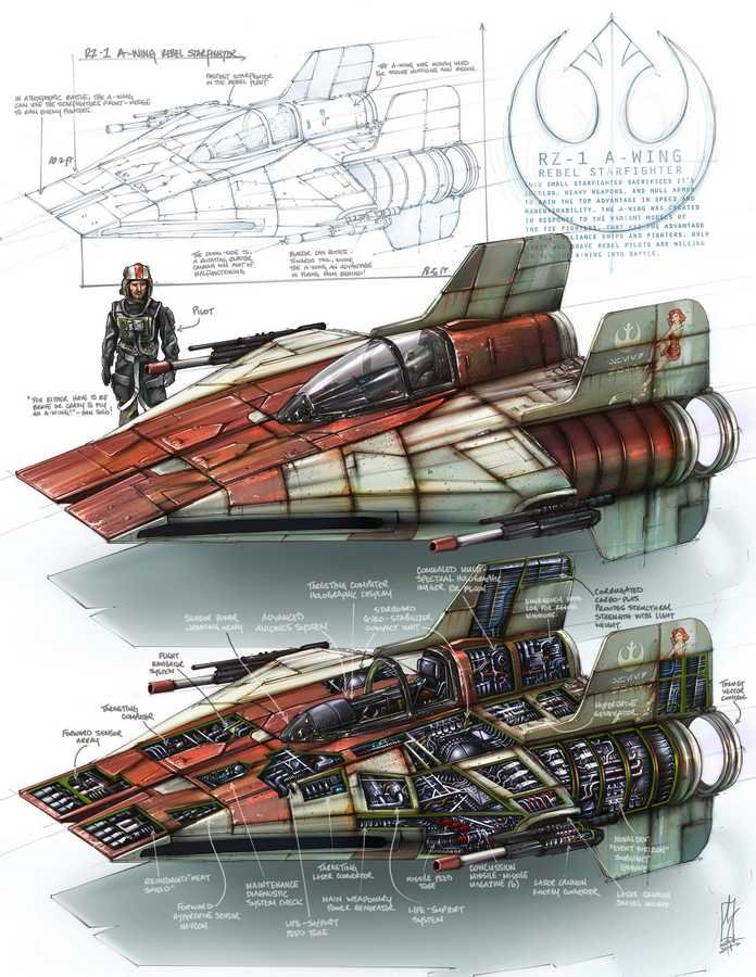 RZ 1 A wing interceptor cutaway A4 Photo Print