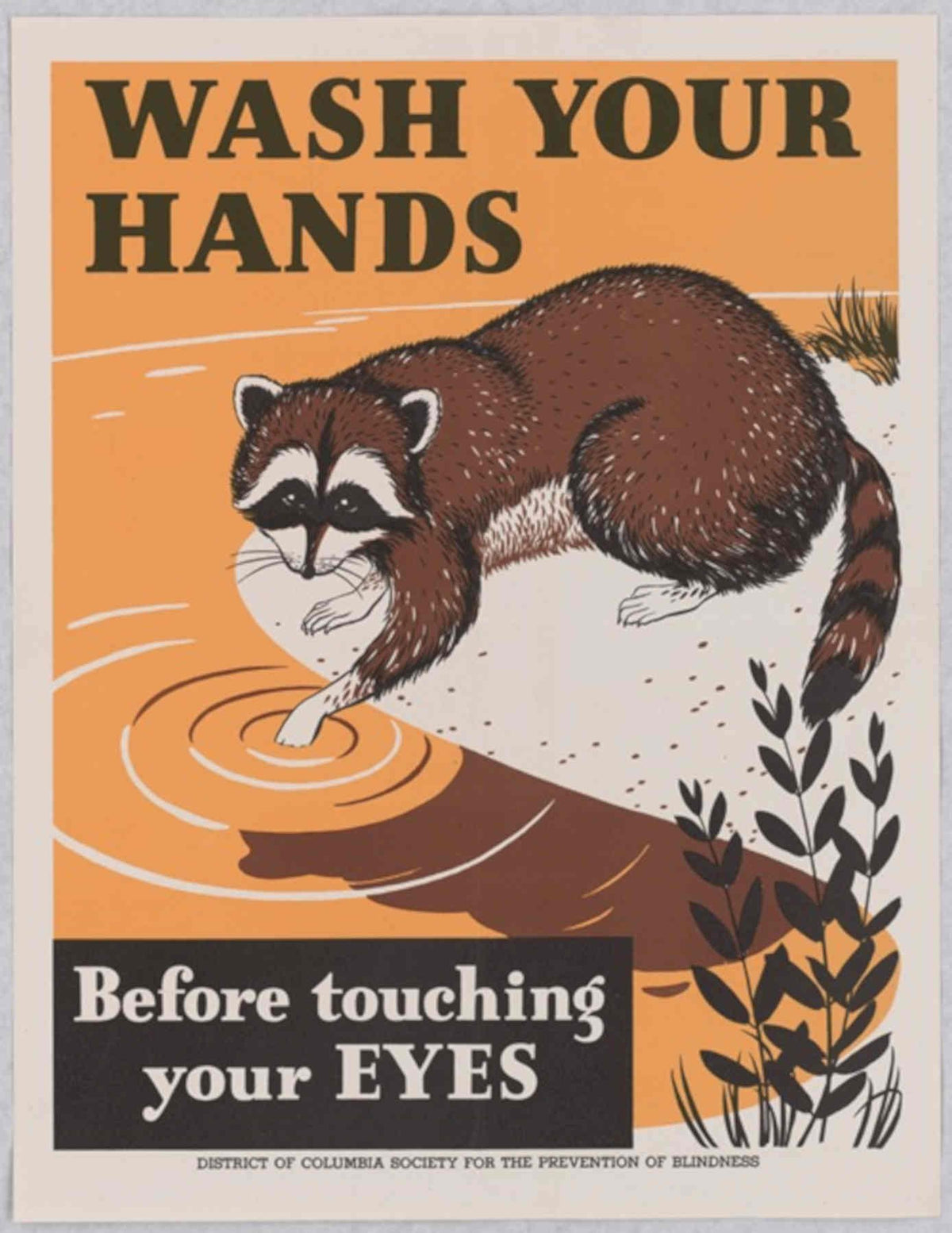 Raccoon Handwashing Dcspb American World War II Advert Poster