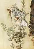Rackham Arthur 1867 1939 Peter Pan in Kensington Gardens 1912 The fairies have their tiffs with the birds A4 Photo Print