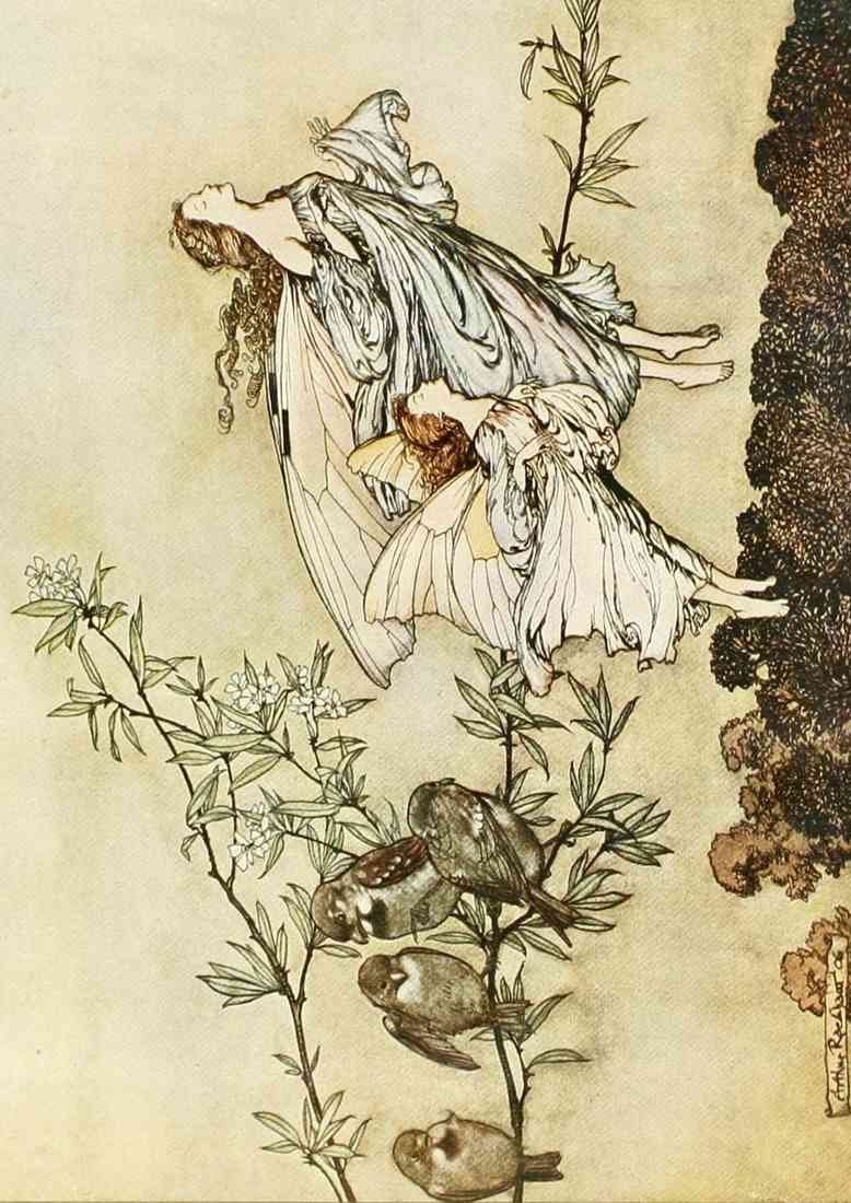 Rackham Arthur 1867 1939 Peter Pan in Kensington Gardens 1912 The fairies have their tiffs with the birds A4 Photo Print