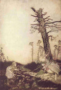 Rackham Arthur 1907 Alice meets the White Rabbit A4 Photo Print