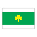 Raikkula Vald Flag N2880 A4 Photo Print