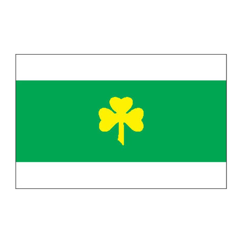 Raikkula Vald Flag N2880 A4 Photo Print