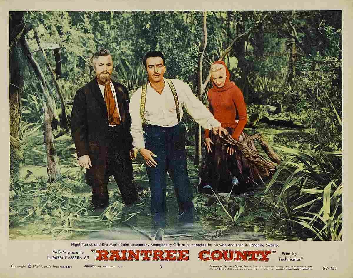 Raintree County 08  film star poster A4 Photo Print