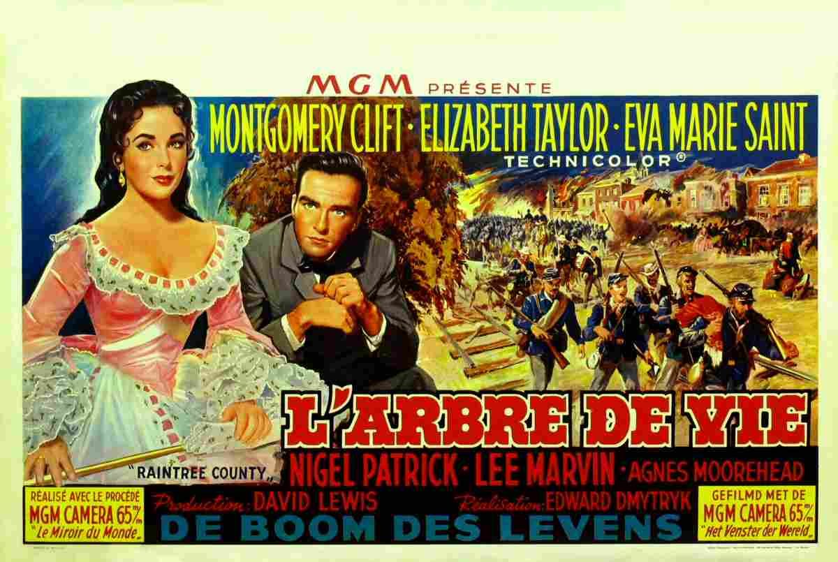 Raintree County 14  film star poster A4 Photo Print