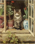 Ralph Hedley blinking in the sun 1881 3 A4 Photo Print