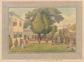 Randals Gardens 1796 GB Cartoon Vintage Retro Advert Poster