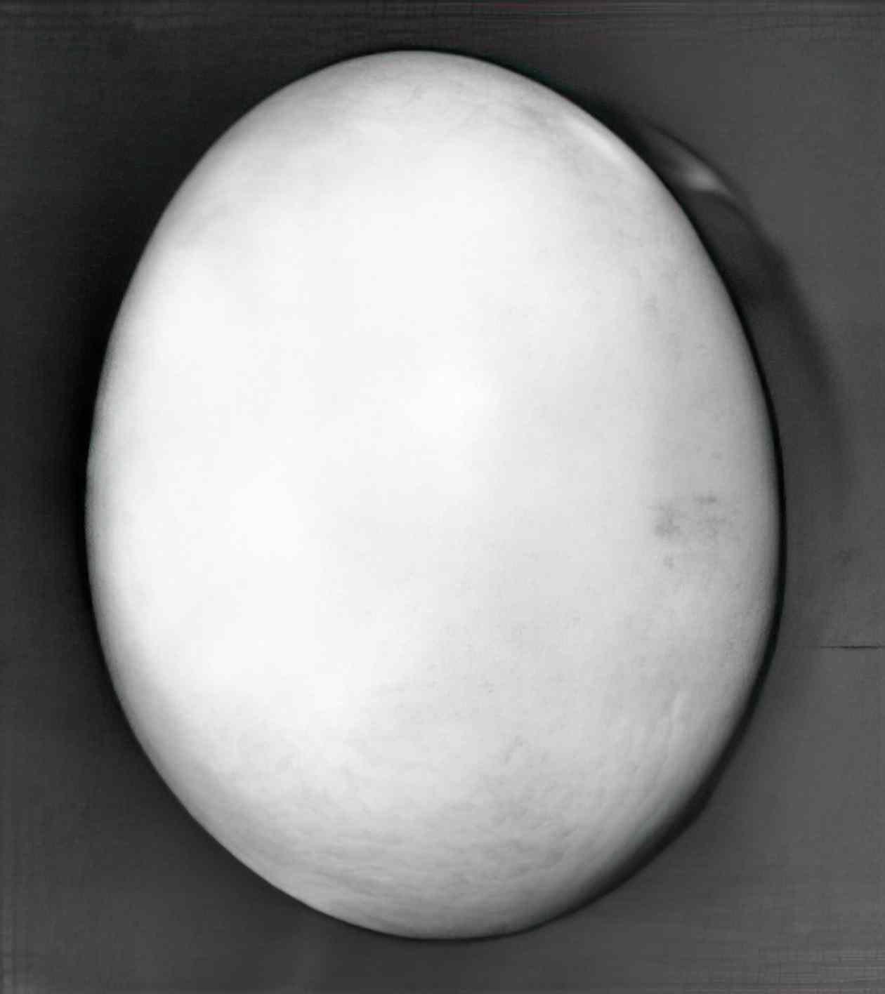 Raoul Ubac l oeuf Art A4 Photo Print
