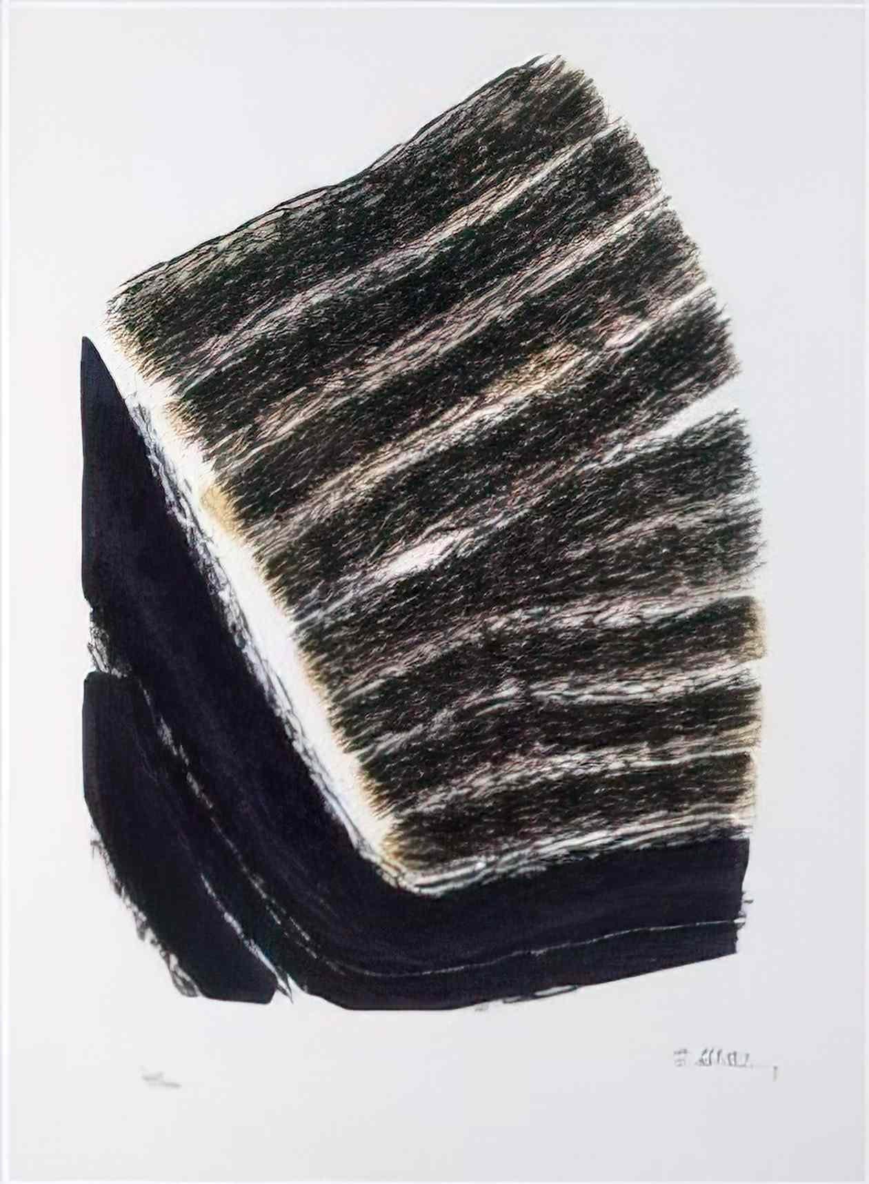 Raoul Ubac un coin de terre 1972 Art A4 Photo Print