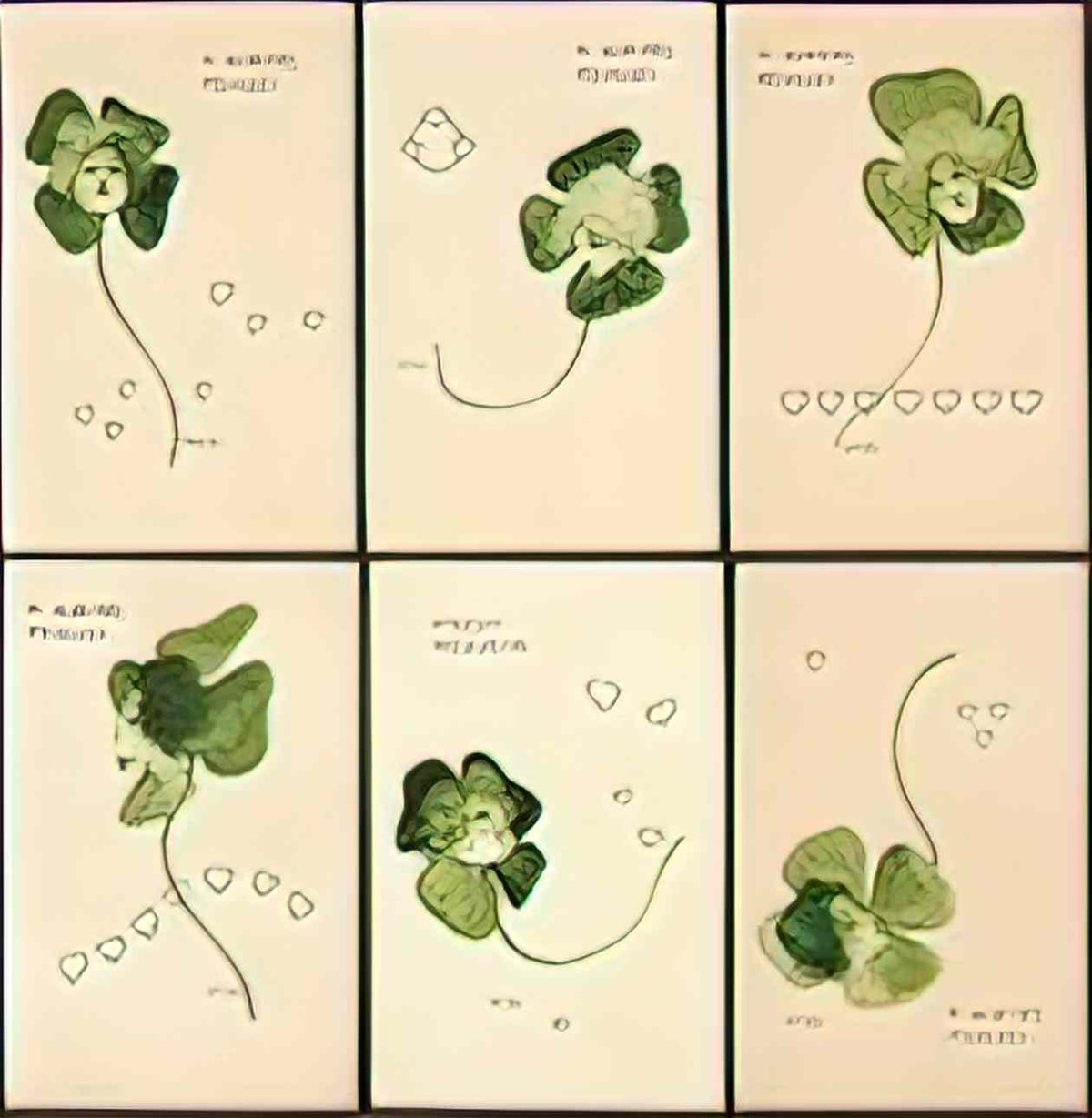 Raphael Kirchner clovers 1899 Art A4 Photo Print