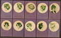Raphael Kirchner girls faces in a circle on violet Art A4 Photo Print