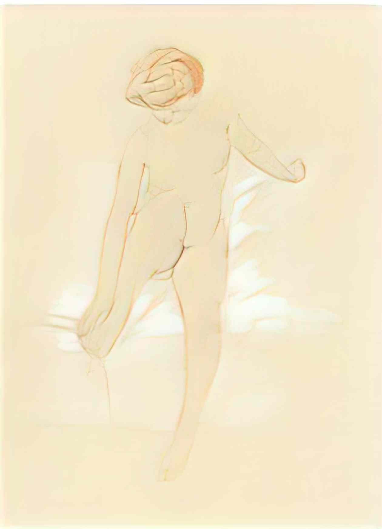 Raphael Kirchner nude drawings 11 Art A4 Photo Print