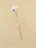 Raphael Kirchner nude drawings 6 Art A4 Photo Print