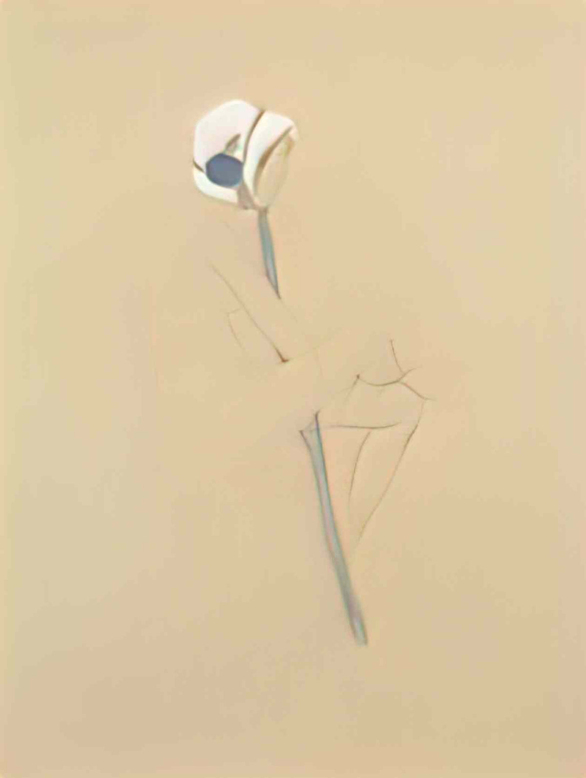 Raphael Kirchner nude drawings 6 Art A4 Photo Print