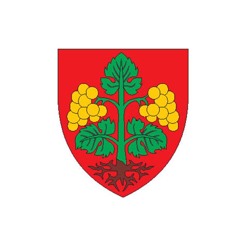 Raron Dist Coat Of Arms N4321 A4 Photo Print
