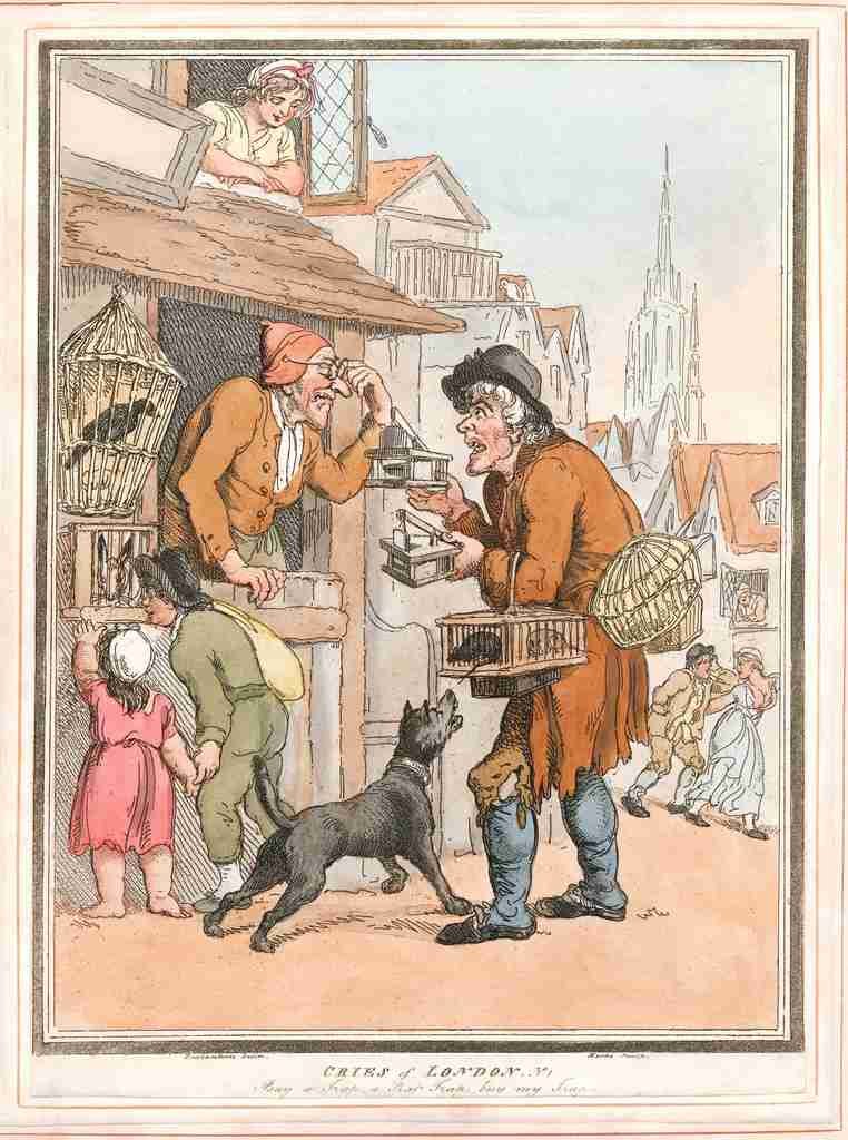 Rat Trap 1799 Cartoon Joke 001 Vintage A4 Photo Print