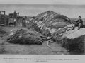 Rath & Wrights buffalo hide yard in 1878 showing 40000 bu Military A4 Photo Print