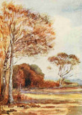 Rawnsley Alice Julia Willingham 1849 1941 The New Forest 1904 Below Park Hill Hampshire Vintage A4 Photo Print